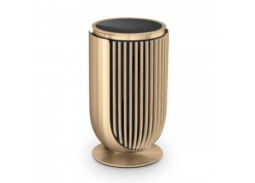 Полочная акустика Bang & Olufsen Beolab 8 Gold Tone/Light Oak