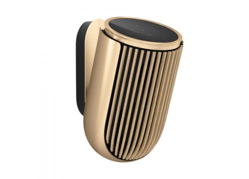 Полочная акустика Bang & Olufsen Beolab 8 Gold Tone/Light Oak