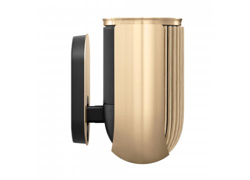Полочная акустика Bang & Olufsen Beolab 8 Gold Tone/Light Oak