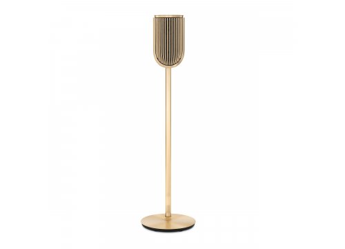 Полочная акустика Bang & Olufsen Beolab 8 Gold Tone/Light Oak