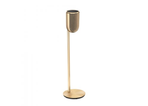 Полочная акустика Bang & Olufsen Beolab 8 Gold Tone/Light Oak