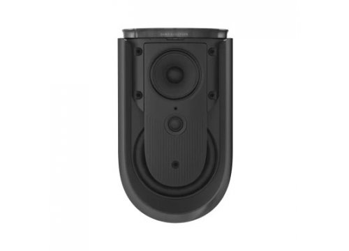 Полочная акустика Bang & Olufsen Beolab 8 Gold Tone/Light Oak