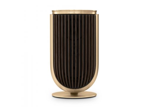 Полочная акустика Bang & Olufsen Beolab 8 Gold Tone/Dark Oak