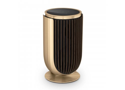 Полочная акустика Bang & Olufsen Beolab 8 Gold Tone/Dark Oak