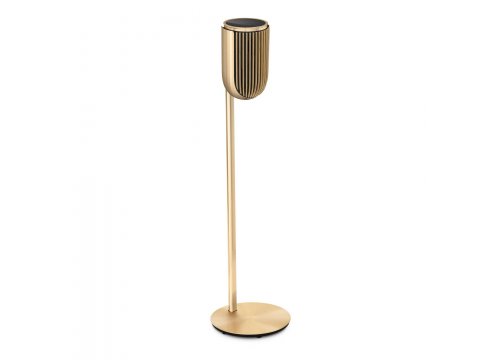 Полочная акустика Bang & Olufsen Beolab 8 Gold Tone/Oak