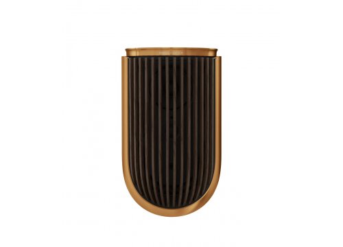 Активная Полочная акустика Bang & Olufsen Beolab 8 Bronze Tone/Walnut