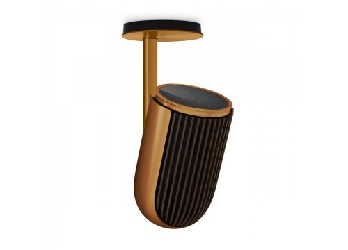 Активная Полочная акустика Bang & Olufsen Beolab 8 Bronze Tone/Walnut