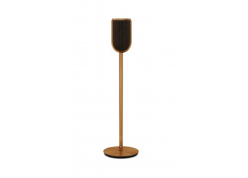 Активная Полочная акустика Bang & Olufsen Beolab 8 Bronze Tone/Walnut