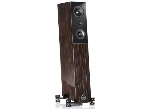 Напольная акустика Audio Physic Avantera (V22) Black Ebony High Gloss