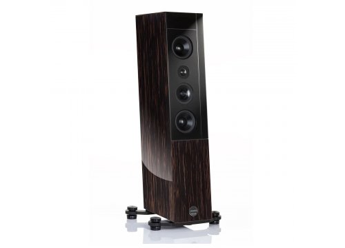 Напольная акустика Audio Physic Cardeas Black Ebony High Gloss