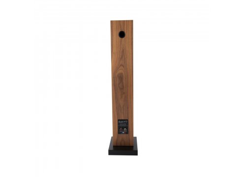 Напольная акустика Davis Acoustics Courbet 5 Walnut Venner
